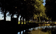 Lune De Miel - Canal in Shadow